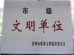 喜訊！公司榮獲“市級(jí)文明單位”稱號(hào)