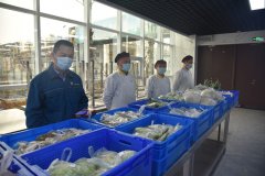 戰(zhàn)疫故事:把菜市場搬進食堂 解決員工后顧之憂