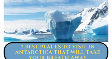 The 7 Best Places To Visit In Antarctica that will take your breath away